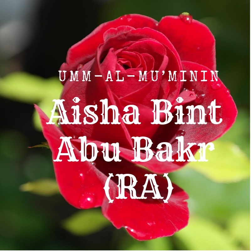 Aisha Bint Abu Bakr (RA)