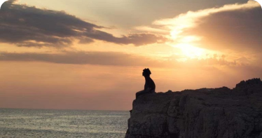 Chance, Choice, Change